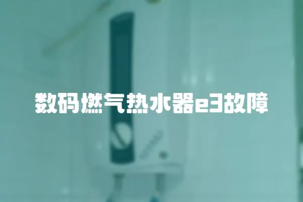 數碼燃氣熱水器e3故障