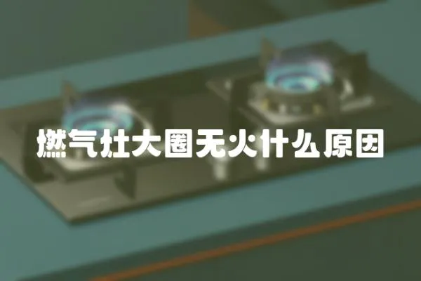 燃?xì)庠畲笕o火什么原因