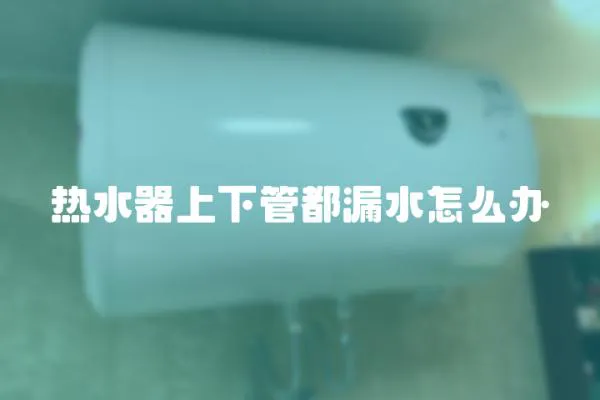 熱水器上下管都漏水怎么辦