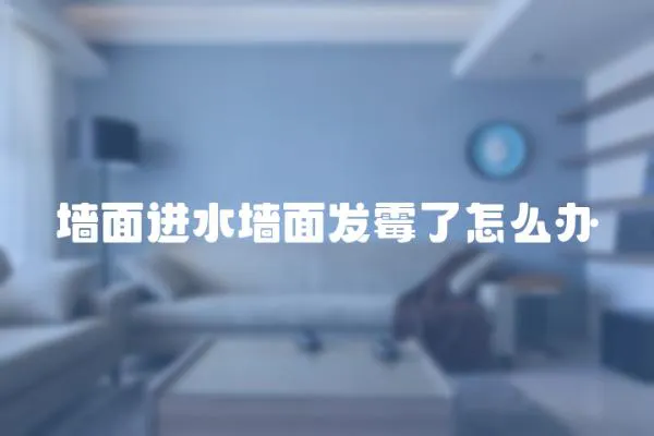 墻面進水墻面發霉了怎么辦