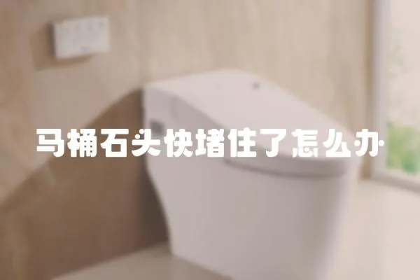 馬桶石頭快堵住了怎么辦