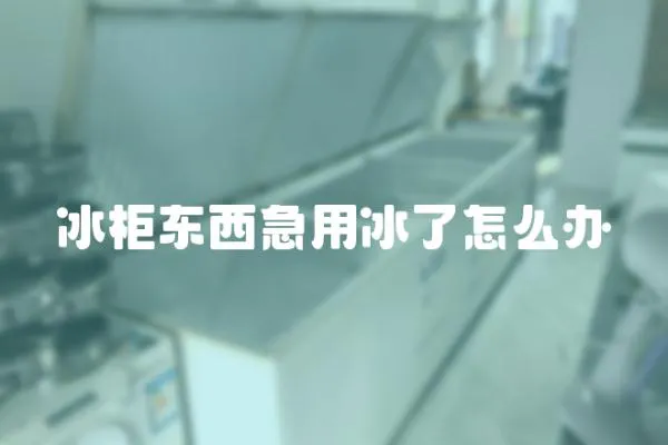 冰柜東西急用冰了怎么辦