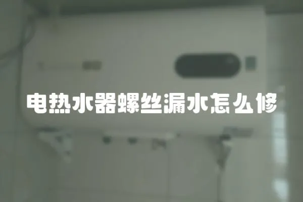電熱水器螺絲漏水怎么修