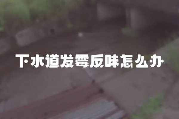 下水道發霉反味怎么辦