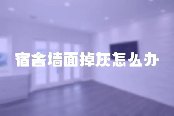 宿舍墻面掉灰怎么辦