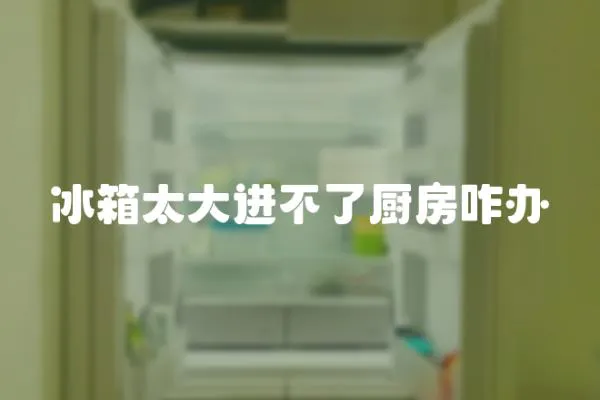冰箱太大進不了廚房咋辦