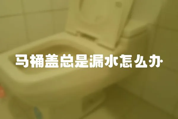 馬桶蓋總是漏水怎么辦