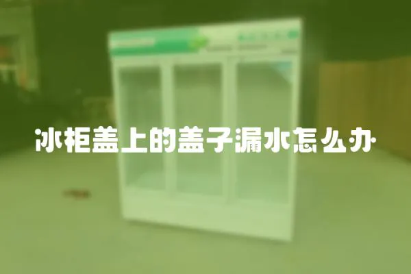 冰柜蓋上的蓋子漏水怎么辦