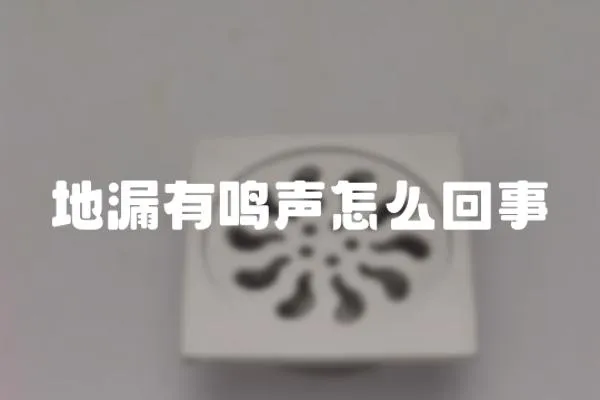 地漏有鳴聲怎么回事