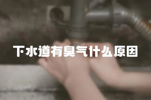 下水道有臭氣什么原因