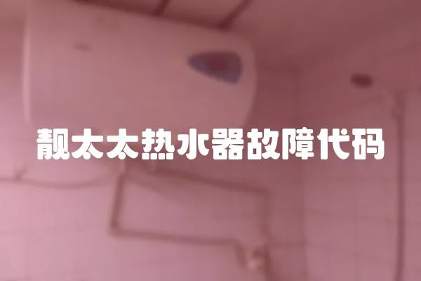 靚太太熱水器故障代碼