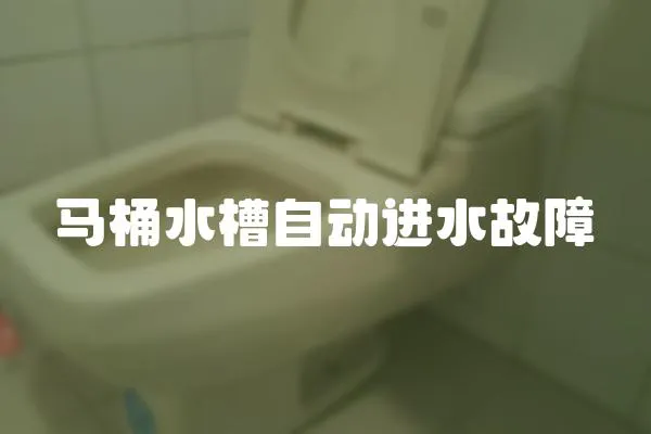 馬桶水槽自動進水故障