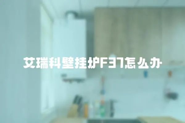 艾瑞科壁掛爐F37怎么辦