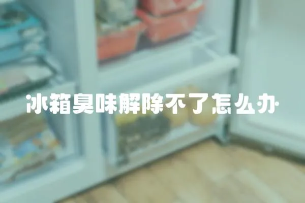 冰箱臭味解除不了怎么辦