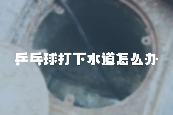 乒乓球打下水道怎么辦