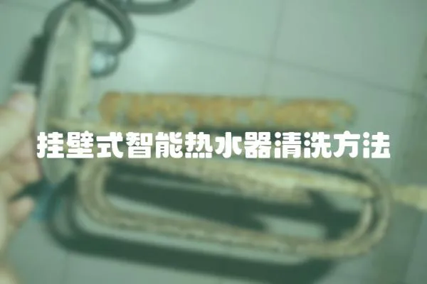 掛壁式智能熱水器清洗方法