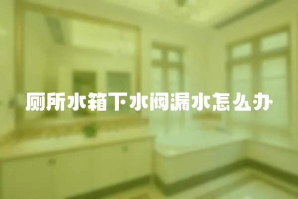 廁所水箱下水閥漏水怎么辦