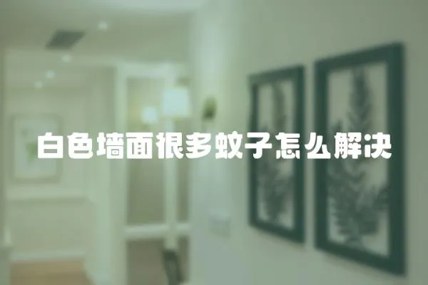 白色墻面很多蚊子怎么解決