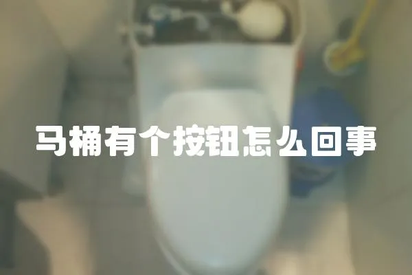 馬桶有個按鈕怎么回事