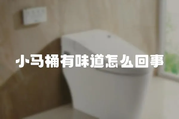 小馬桶有味道怎么回事