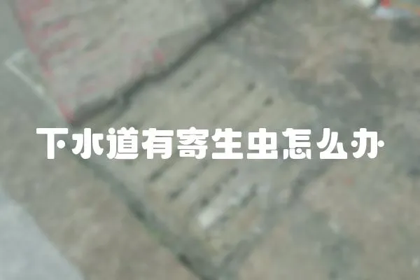 下水道有寄生蟲怎么辦
