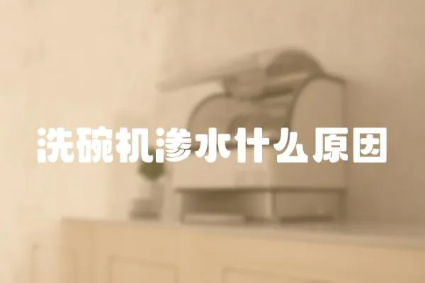 洗碗機滲水什么原因