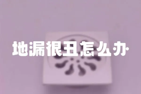 地漏很丑怎么辦