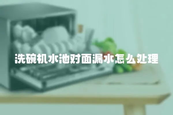 洗碗機水池對面漏水怎么處理