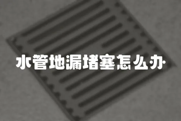 水管地漏堵塞怎么辦