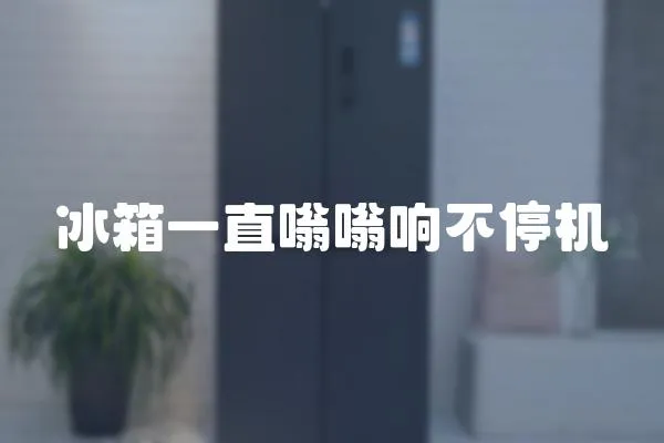 冰箱一直嗡嗡響不停機