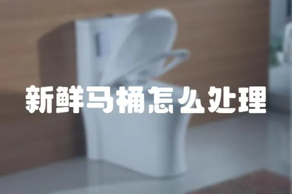 新鮮馬桶怎么處理