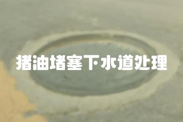 豬油堵塞下水道處理