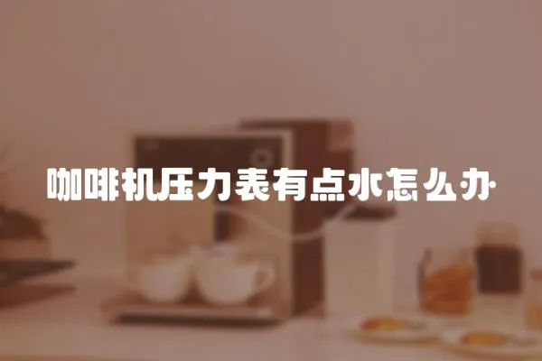 咖啡機壓力表有點水怎么辦