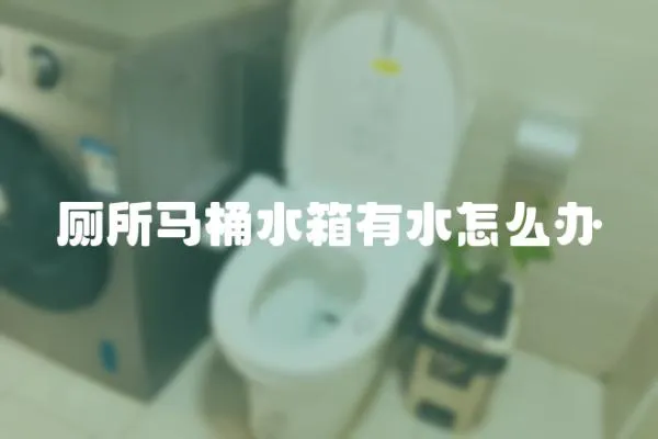 廁所馬桶水箱有水怎么辦