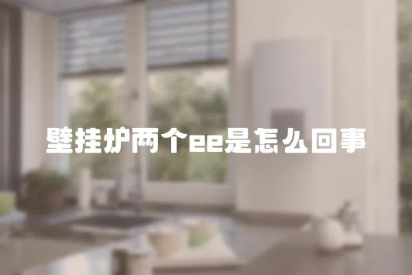 壁掛爐兩個ee是怎么回事