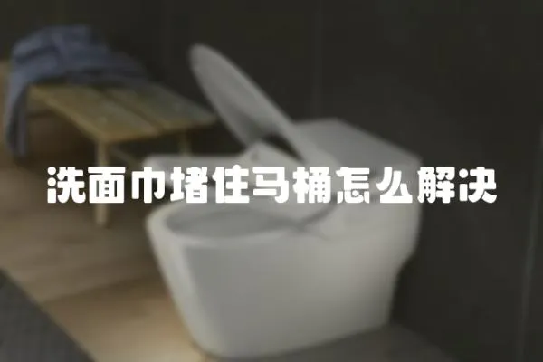 洗面巾堵住馬桶怎么解決
