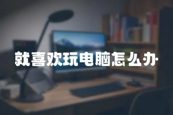 就喜歡玩電腦怎么辦