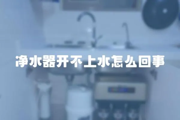 凈水器開不上水怎么回事