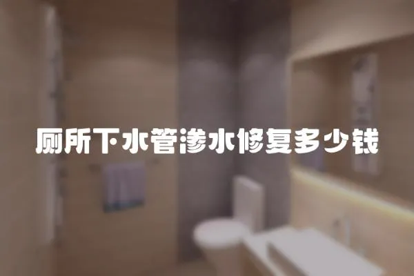 廁所下水管滲水修復多少錢