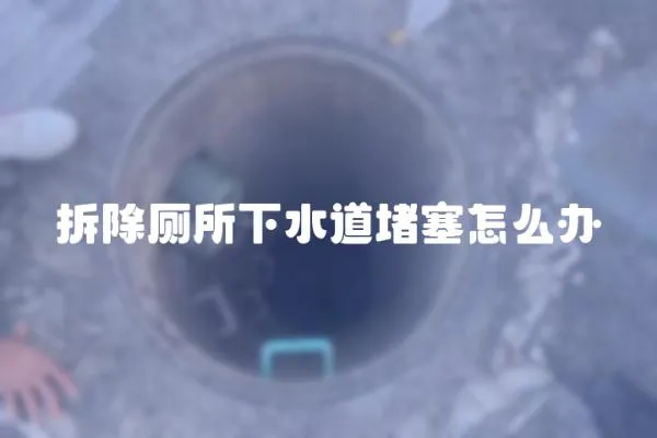 拆除廁所下水道堵塞怎么辦