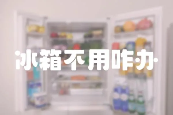 冰箱不用咋辦