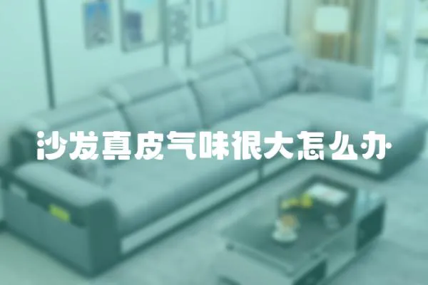 沙發(fā)真皮氣味很大怎么辦