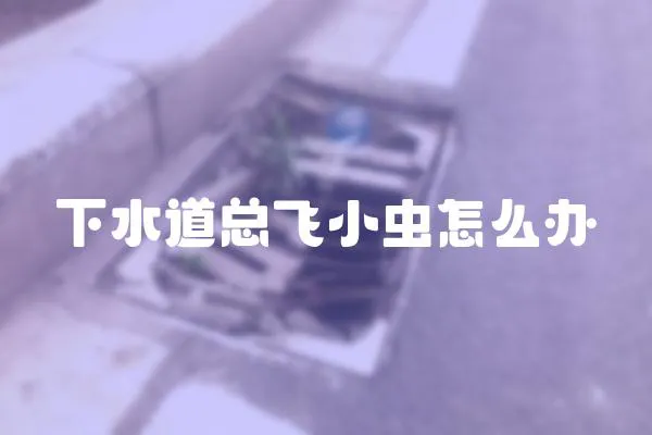 下水道總飛小蟲怎么辦