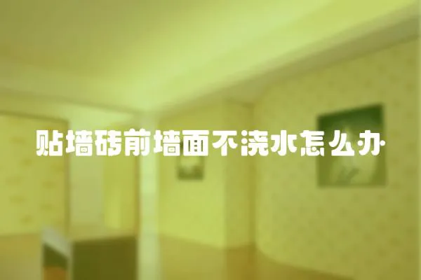 貼墻磚前墻面不澆水怎么辦
