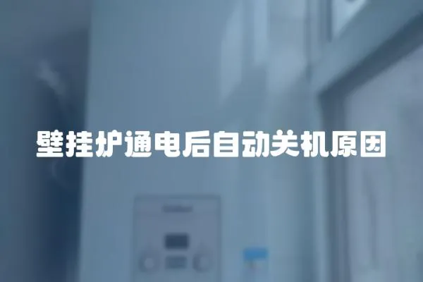 壁掛爐通電后自動關機原因