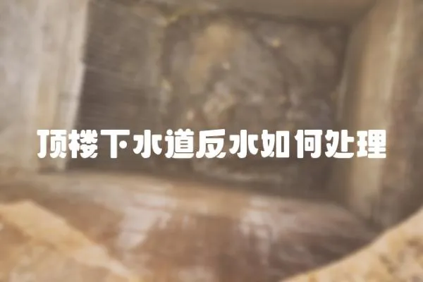 頂樓下水道反水如何處理