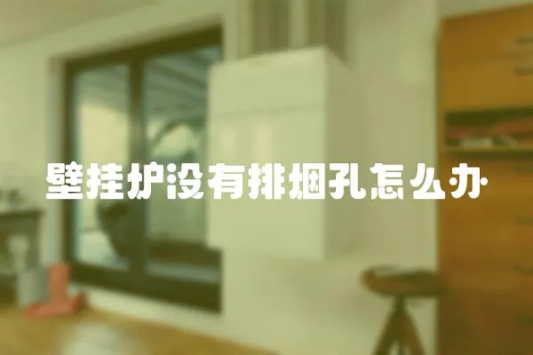 壁掛爐沒有排煙孔怎么辦