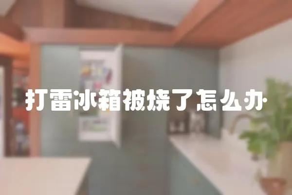 打雷冰箱被燒了怎么辦