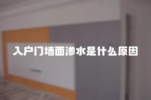 入戶(hù)門(mén)墻面滲水是什么原因