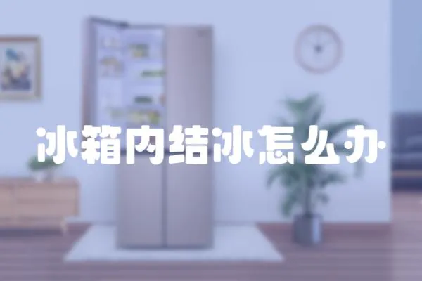 冰箱內(nèi)結(jié)冰怎么辦